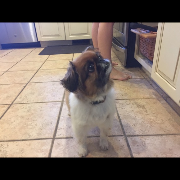 Meet your Posher, Alisa - Picture 6 of 8